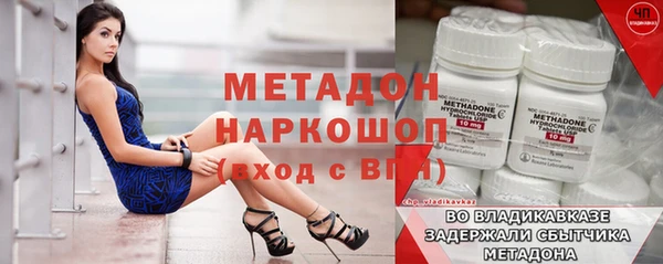 прущие грибы Белокуриха