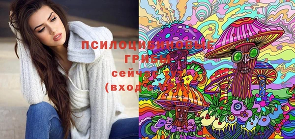 прущие грибы Белокуриха