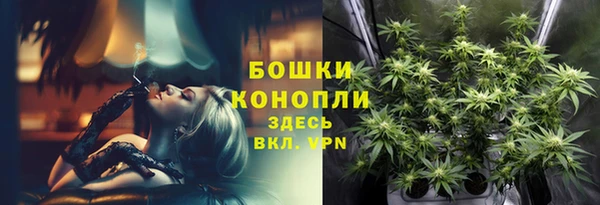 прущие грибы Белокуриха