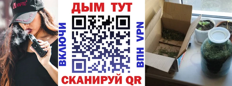 Бошки Шишки планчик Белозерск